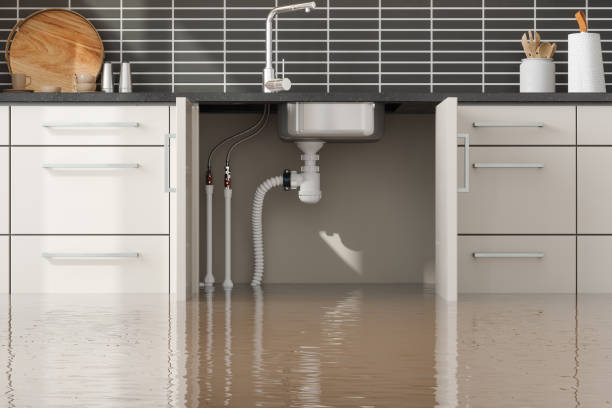 Best Water damage restoration specialists  in Arlington, NE